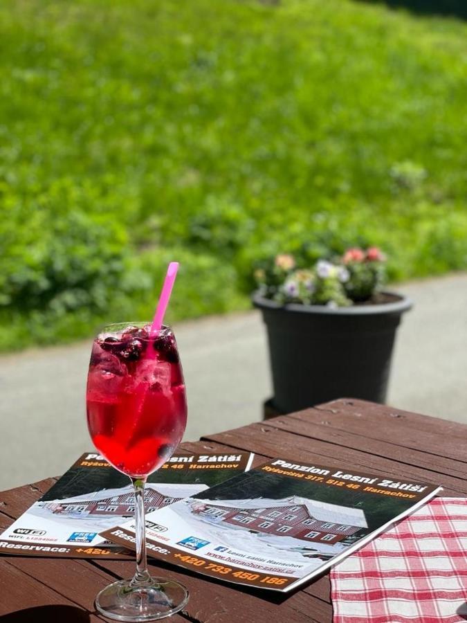 Penzion Lesni Zatisi- Harrachov Bagian luar foto