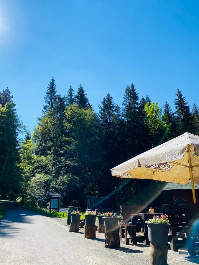 Penzion Lesni Zatisi- Harrachov Bagian luar foto