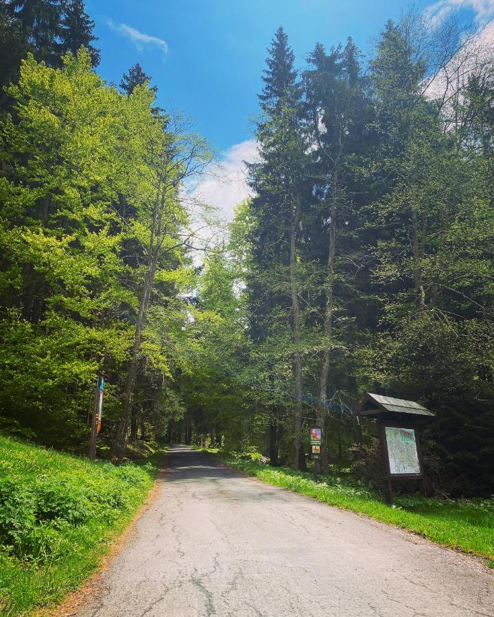 Penzion Lesni Zatisi- Harrachov Bagian luar foto
