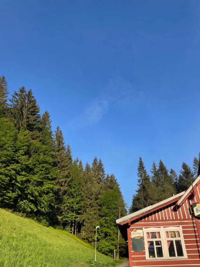 Penzion Lesni Zatisi- Harrachov Bagian luar foto