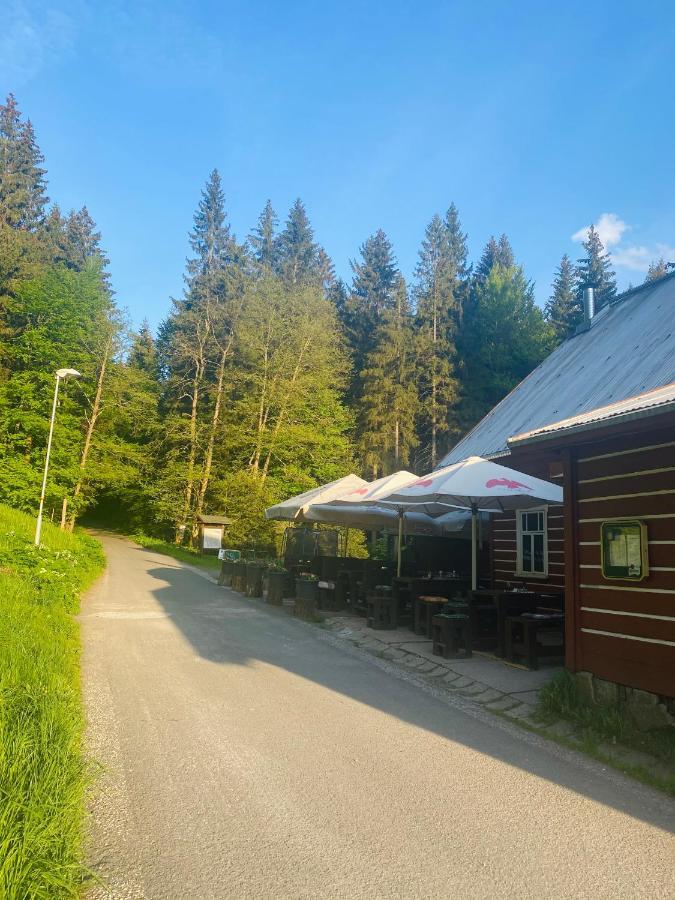 Penzion Lesni Zatisi- Harrachov Bagian luar foto