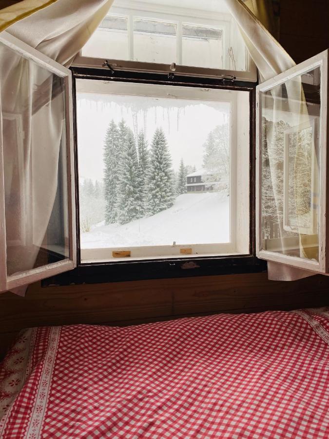 Penzion Lesni Zatisi- Harrachov Bagian luar foto